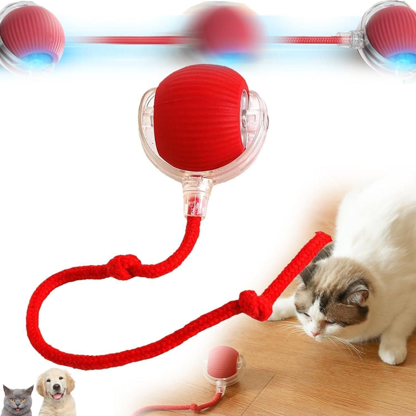 LED Rolling Ball,Interactive Cat Ball Toy
