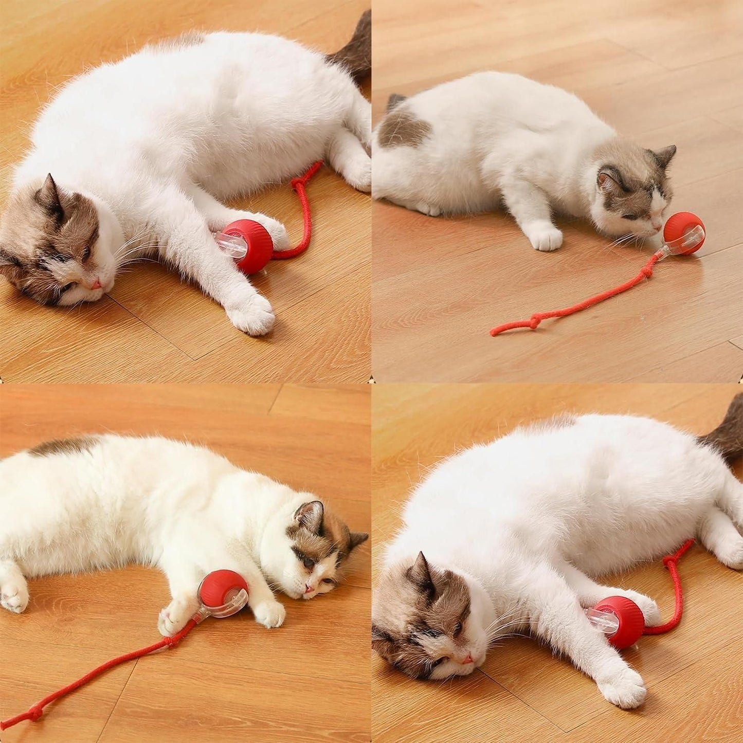 LED Rolling Ball,Interactive Cat Ball Toy